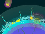 play Effing Meteors