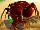play Bug War
