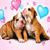 play Cute Puppies Jigsaw Puzzle