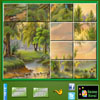 play Puzzle Craze Green Nature