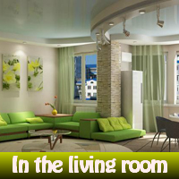 play In The Living Room