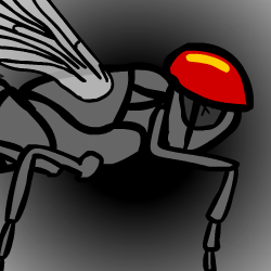 play Extreme House Fly
