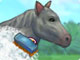 play My Pet Horse