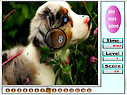 play Faboulous Animals Hidden Numbers