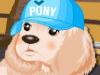 play Dog Dressup2