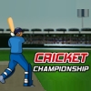 play Cricket Championship