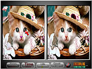 play Pet Animals Spot The Difference