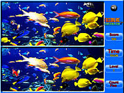 play Fish Spot The Difference