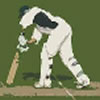 play Tms Twenty20 Cricket