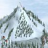 play Ski Race