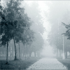 play Foggy Day Find Numbers