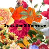 play Spot The Difference