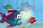 play Angry Hungry Fish