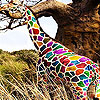 play Colorful Hungry Giraffe Slide Puzzle