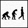 play Human Evolution