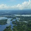 play Amazon Rain Forest