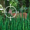 play Deer Hunter