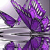 play Violet Butterflies Slide Puzzle