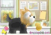 play Pet Grooming Studio