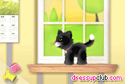 play Pet Pickup