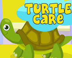 play Turtle Care