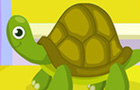 play Turtle Care