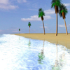 play Beach Racing