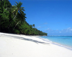play Tropical Landing