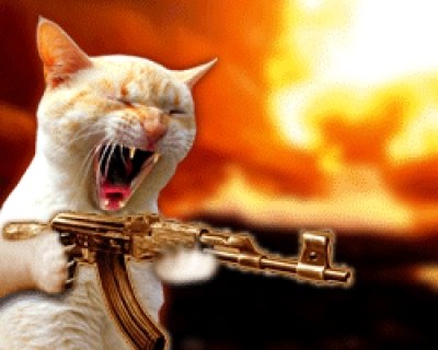 play Kid Vs Cat