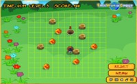 play Beetle Run