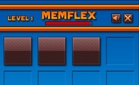 Memflex