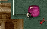 play Scrawlder
