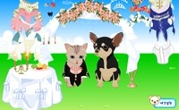 play Pet Wedding Dress Up