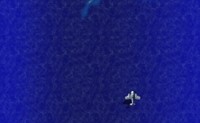 play Naval Fighter