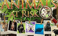 play Animals At Risk