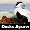 play Ducks Jigsaw