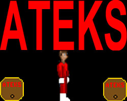 play Ateks: Barrel Jumping