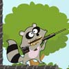 play Crazy Racoon