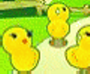 play Chick Adventure
