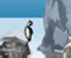 play Pingu Throw