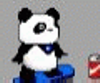 play Panda Dude