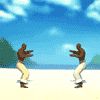 play Capoeira Fighter