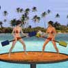 play Beach Cat Fight