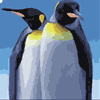 play Penguinoids