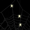 play I Hate Spiders