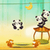 play Panda Fruit Bounce