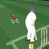 play Cricket Challenge