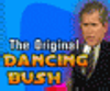 play Dancing Bush