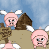 play Fly Pig