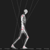 Wireframe Skeleton